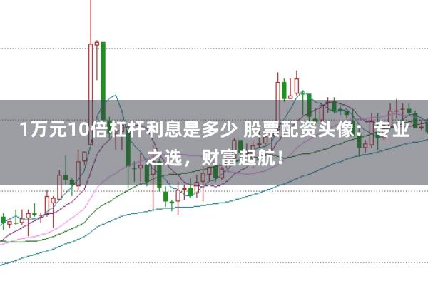 1万元10倍杠杆利息是多少 股票配资头像:专业之选,财富起航!
