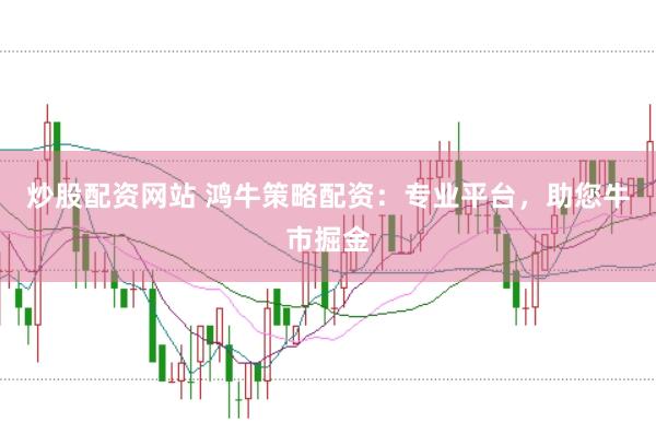 炒股配资网站 鸿牛策略配资：专业平台，助您牛市掘金