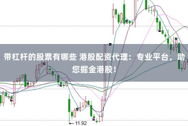 带杠杆的股票有哪些 港股配资代理：专业平台，助您掘金港股！