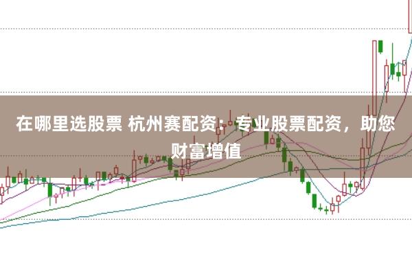 在哪里选股票 杭州赛配资：专业股票配资，助您财富增值