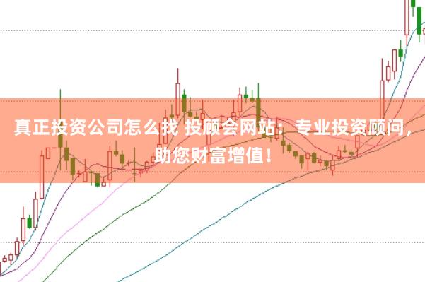 真正投资公司怎么找 投顾会网站:专业投资顾问,助您财富增值!