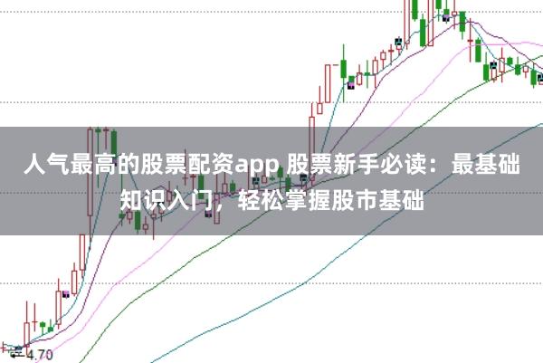 人气最高的股票配资app 股票新手必读:最基础知识入门,轻松掌握股市基础