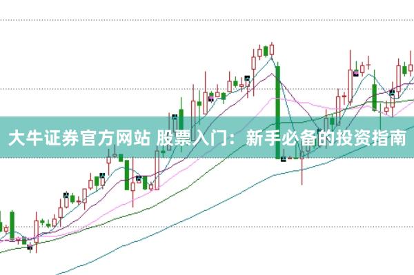 大牛证券官方网站 股票入门：新手必备的投资指南