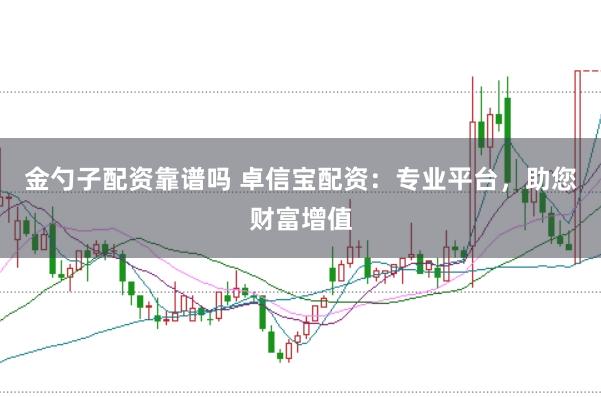 金勺子配资靠谱吗 卓信宝配资:专业平台,助您财富增值